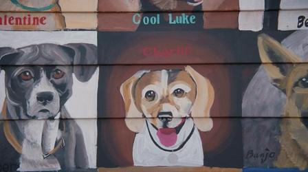 Video thumbnail: If You Lived Here Quiet Del Ray was Once the Vegas of Virginia