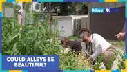 How Native Plants Are Transforming South St. Louis City