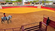 El Jinete
