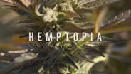 Hemptopia