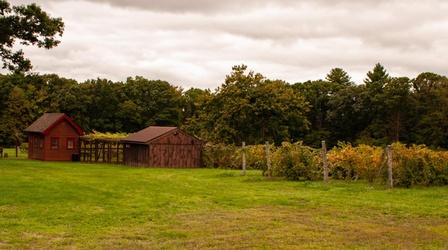 Video thumbnail: Adaptive Capacity Verde Vineyards