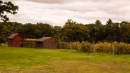 Verde Vineyards