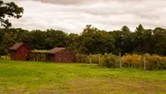Verde Vineyards