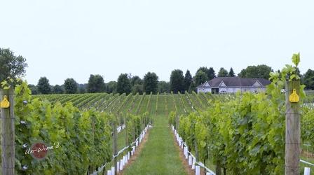 Video thumbnail: Un-Wine'd 8 Chains North Winery