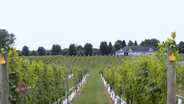 8 Chains North Winery
