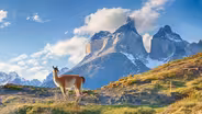 Andes
