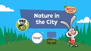 Nature in the City