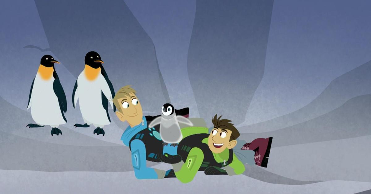 Wild Kratts | Mystery of the North Pole Penguins? | Season 5 | Episode