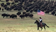 2026 Custer State Park Buffalo Roundup