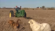 Timeless Tractors: The Original
