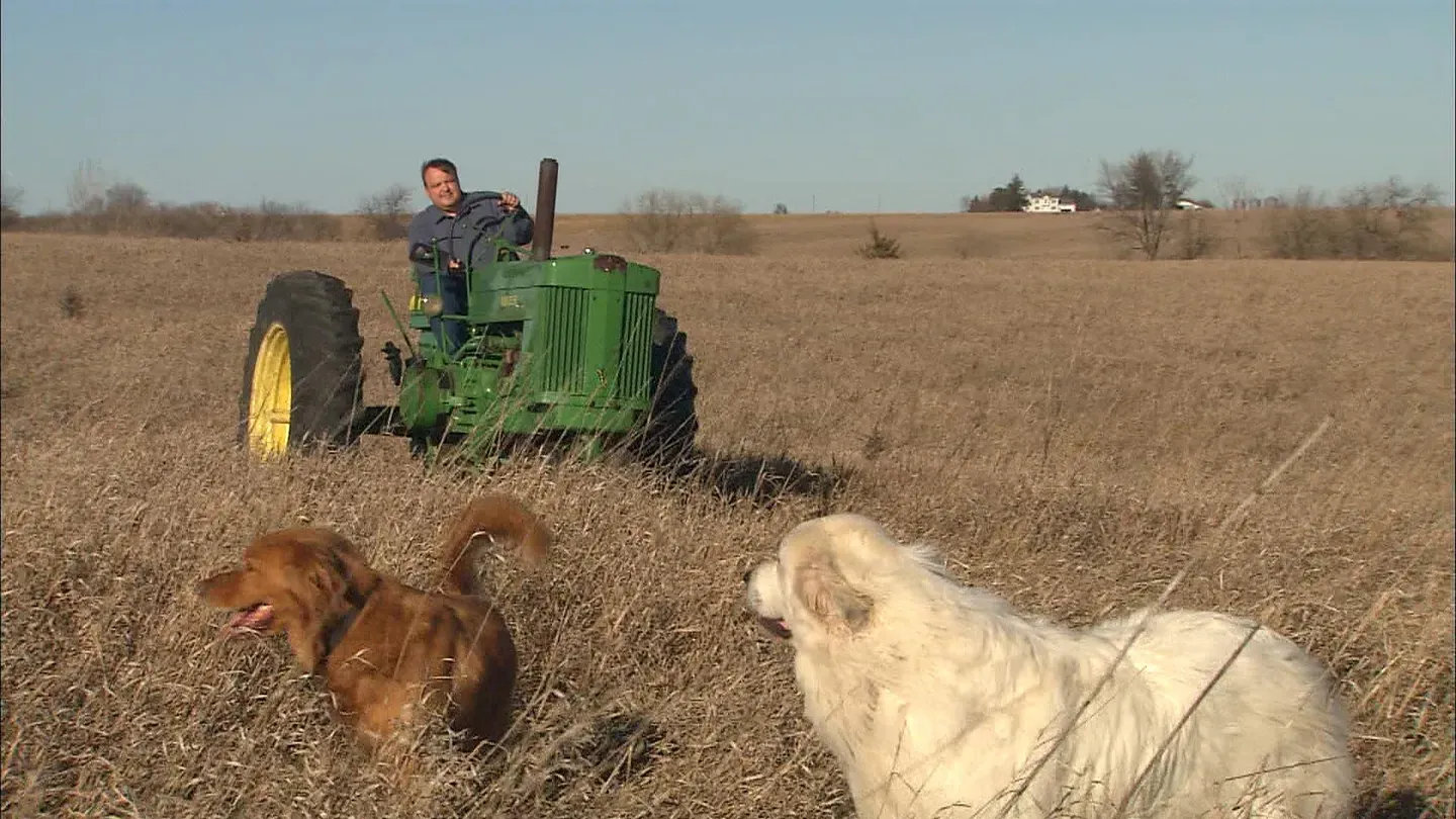 Timeless Tractors: The Original