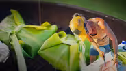 Cooking from the Fish Pond