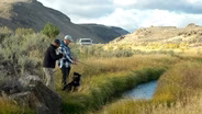Surveying Fish in Wall Canyon Reservoir