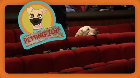 Video thumbnail: NewsDepth Petting Zoo: Pups at the Opera