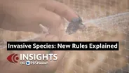 2/6/25 Invasive Species: New Rules Explained