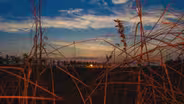 Artists reflect on how the Everglades inspired their work