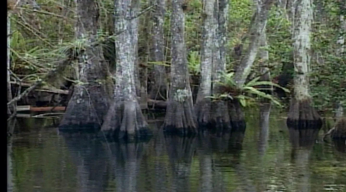 Big Cypress National Preserve (1996)