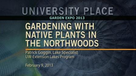 Video thumbnail: University Place Gardening With Native Plants in the Northwoods