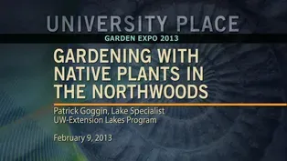 Gardening With Native Plants in the Northwoods