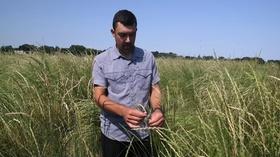 Video thumbnail: PBS NewsHour How a new grain could help combat climate change
