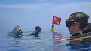 No Fish Left Uncounted