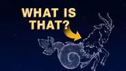 The Goat, the Frog and the Rings of Saturn  | August 26 - September 1