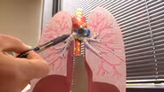 Could vaping products be coating users' lungs in plastic?