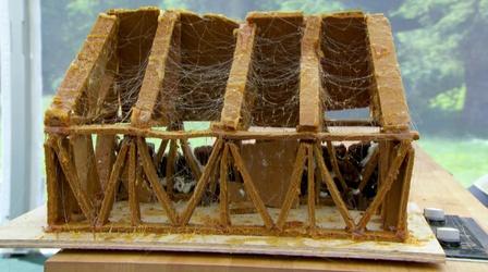 Video thumbnail: The Great British Baking Show Biscuits