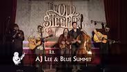 AJ  Lee and Blue Summit