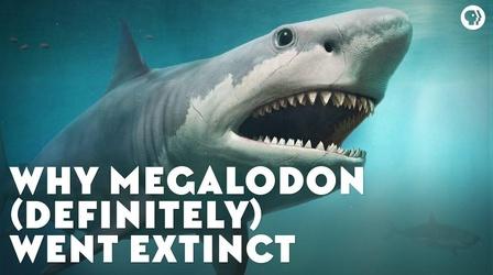 Video thumbnail: Eons Why Megalodon (Definitely) Went Extinct
