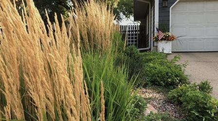 Video thumbnail: South Dakota Home Garden South Dakota Home Garden: Landscaping