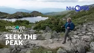 Seek The Peak