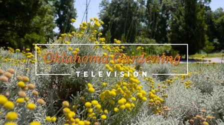 Video thumbnail: Oklahoma Gardening Oklahoma Gardening #4902 (07/09/22)