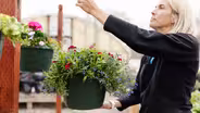 Plant Your Own Hanging Basket
