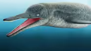 The Sudden Rise of the First Colossal Animal