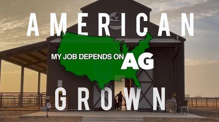 Video thumbnail: American Grown: My Job Depends on Ag Women In Ag Preview