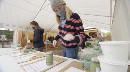 Video thumbnail: Farm to Fork Wyoming Farmers Markets in the New Normal