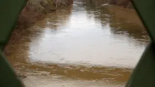 Rivers in the Sky