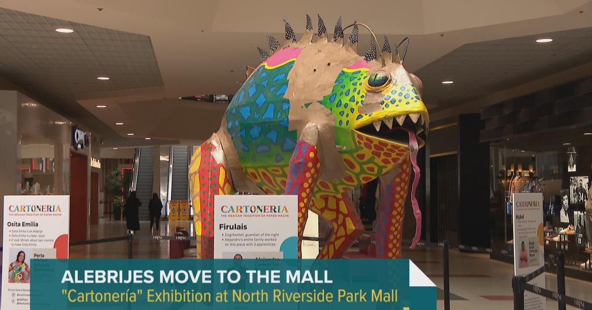 North Riverside Park Mall Hosts Giant Paper Mache Sculptures By Mexican  Artists – NBC Chicago