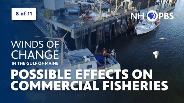 Possible Effects on Commercial Fisheries