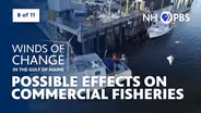 Possible Effects on Commercial Fisheries