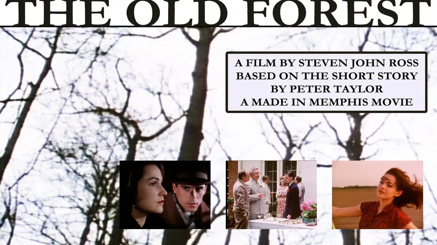 The Old Forest