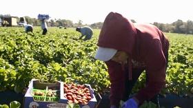 Video thumbnail: Peril and Promise Freedom to Breathe Ep. 4: Food, Farming and Climate Change