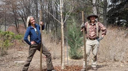 Video thumbnail: Modern Gardener How to Properly Plant a Tree