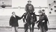 WRS | Horse Healing