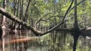 Congaree National Park