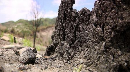 Video thumbnail: Arizona 360 Wildfire risk, housing affordability, political rankings