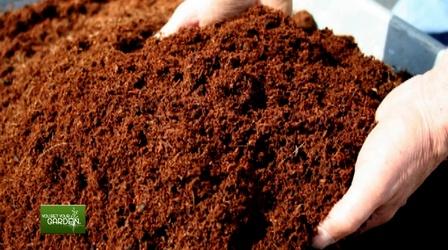 Video thumbnail: You Bet Your Garden You Bet Your Garden Ep. 126 Definitions of Dirt!