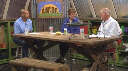 Video thumbnail: The Family Plot Bird Baths & Spraying Tomatoes