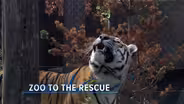 Zoo to the Rescue